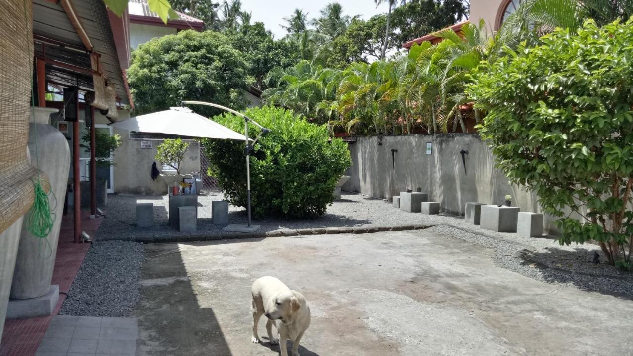 Palms Villa Negombo Exterior photo